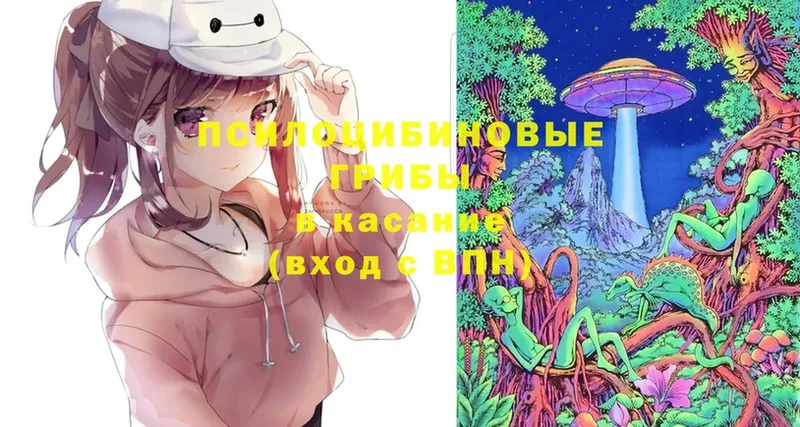 kraken зеркало  Аркадак  Псилоцибиновые грибы Magic Shrooms 